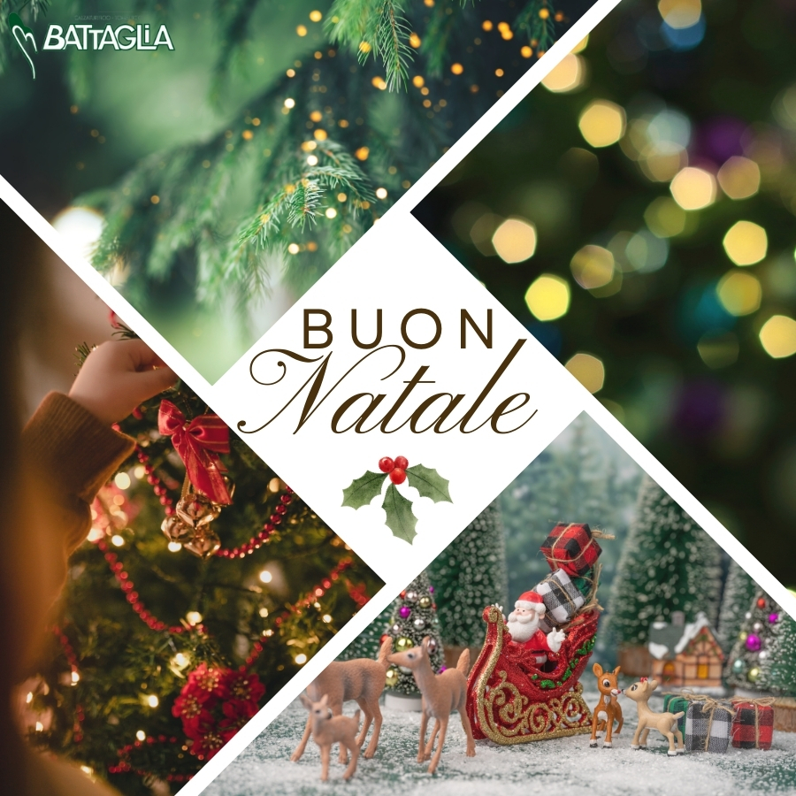 Buon Natale e Felice Anno Nuovo